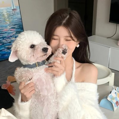 风中的母鸡